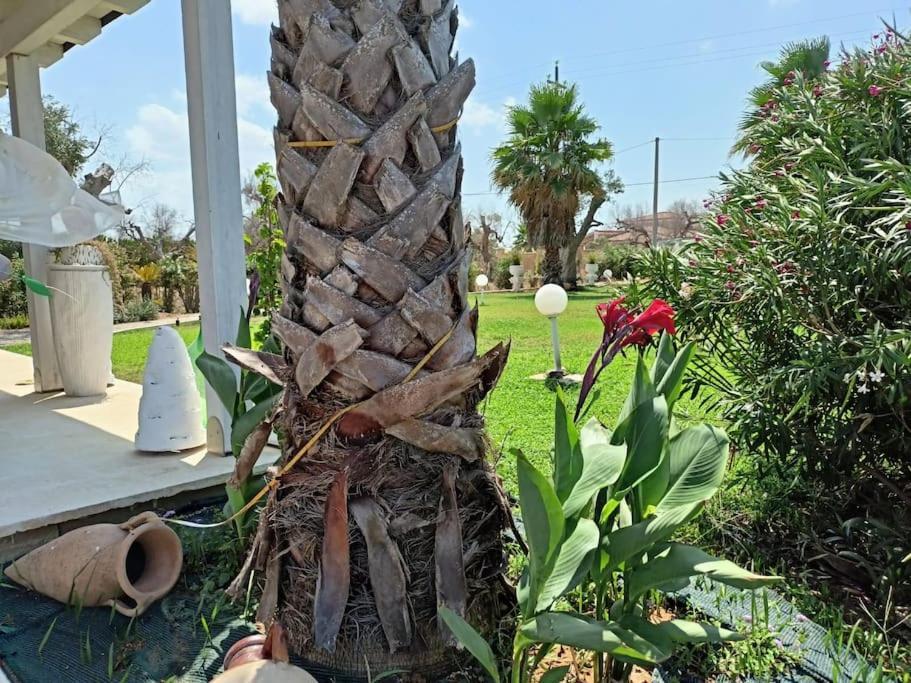 Villa Delle Stelle Con Piscina Leverano Bagian luar foto