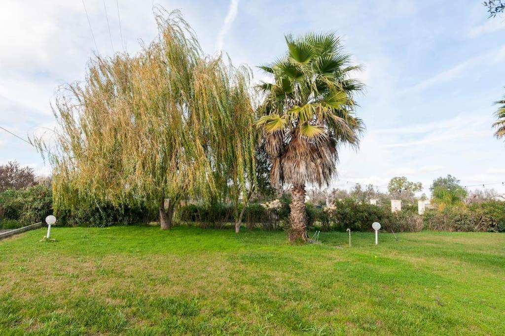 Villa Delle Stelle Con Piscina Leverano Bagian luar foto