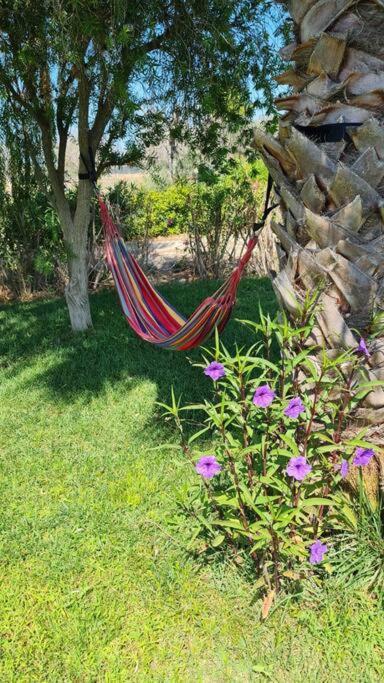 Villa Delle Stelle Con Piscina Leverano Bagian luar foto